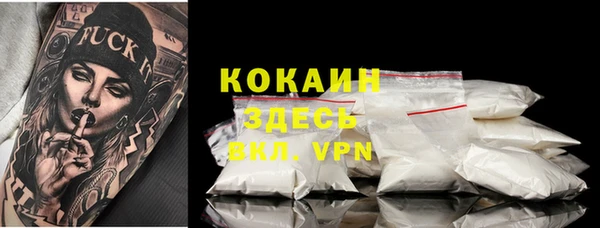 твердый Верхний Тагил
