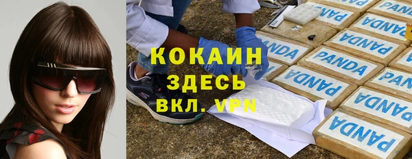 твердый Верхний Тагил