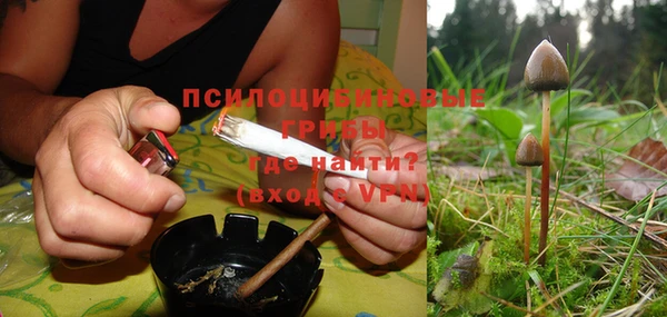 твердый Верхний Тагил